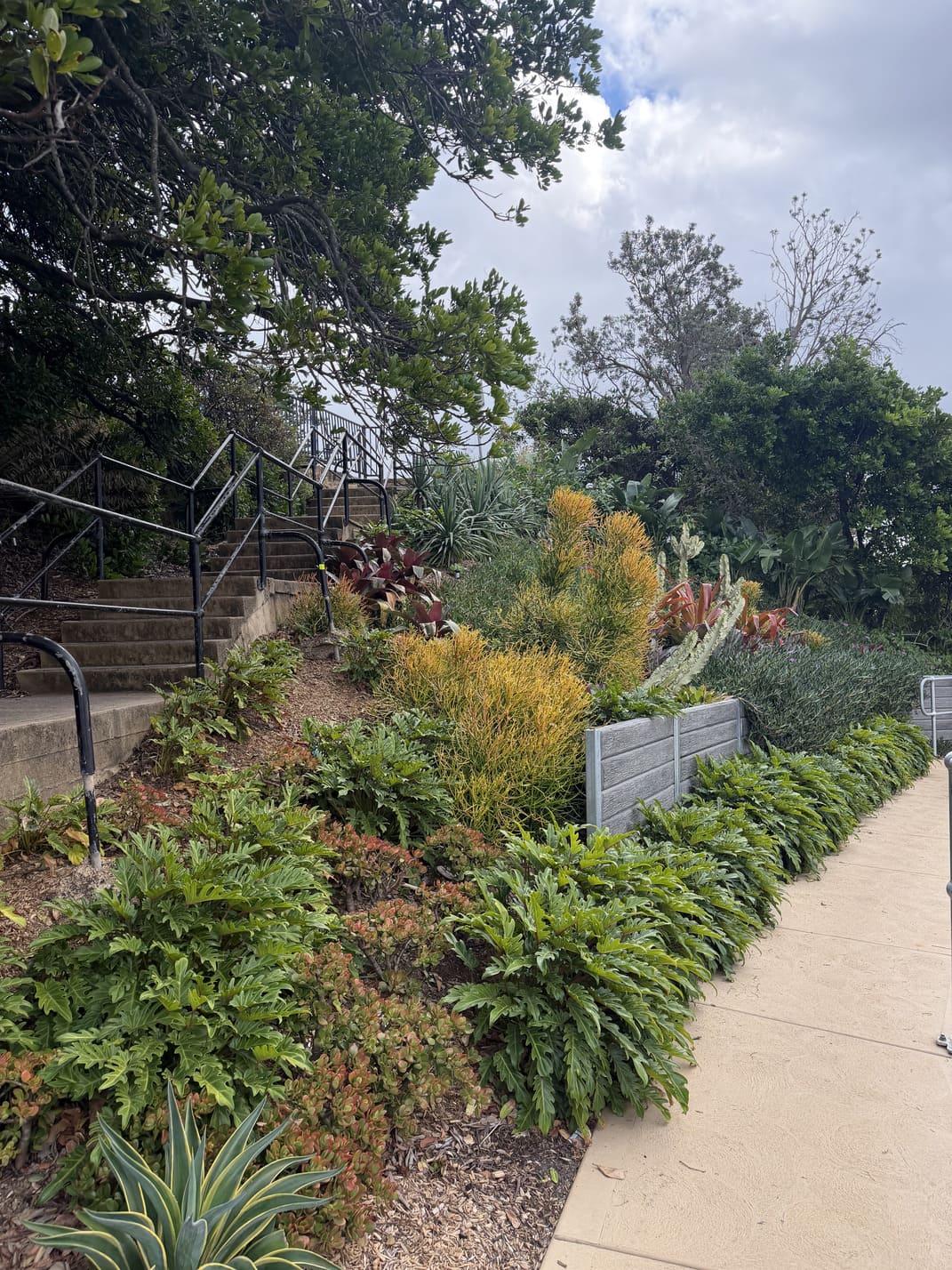 Pavilion Terrigal Landscape Design
